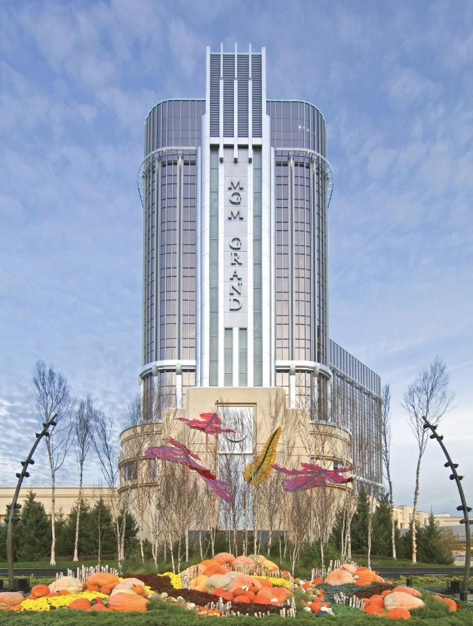Hotel Mgm Grand